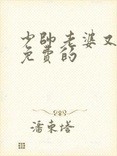 少帅老婆又跑了免费的