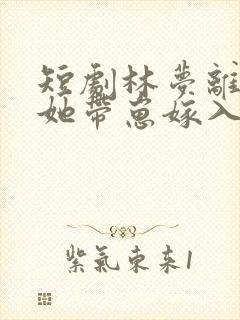 短剧林梦离婚后她带崽嫁入豪门