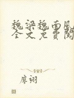 魏梁魏南风po全文免费阅读笔趣阁