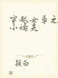 穿越女尊之独宠小娇夫