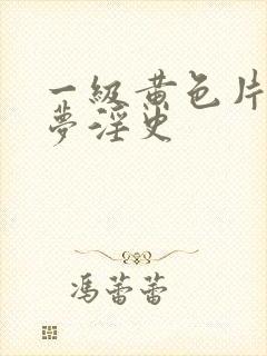 一级黄色片红楼梦淫史