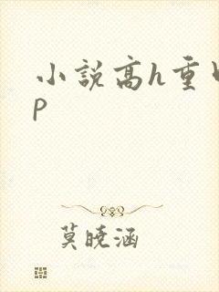 小说高h重口np封面