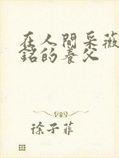 在人间采薇和阿铭的养父