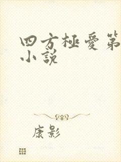 四方极爱第二季小说封面