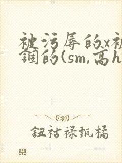 被污辱的x被禁锢的(sm,高h,强制爱)(繁/简)
