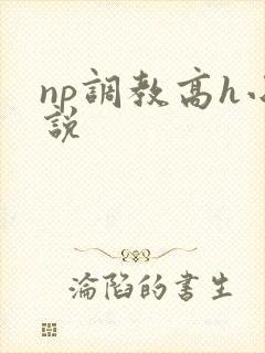 np调教高h小说