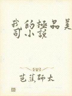 我的极品美人上司小说