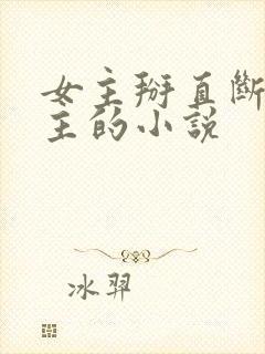 女主掰直断袖男主的小说封面