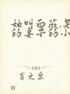 她叫白薇,是我的妻子的小说免费阅读