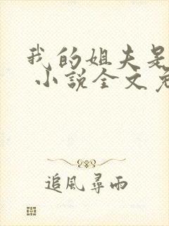 我的姐夫是太子 小说全文免费阅读