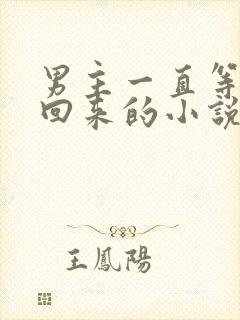 男主一直等女主回来的小说