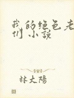 我的绝色老板娘们 小说