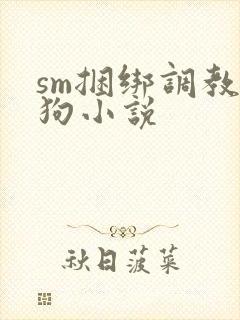 sm捆绑调教母狗小说封面