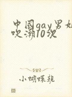 中国gay男奴吹潮10次
