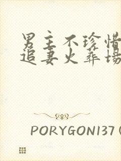 男主不珍惜女主追妻火葬场