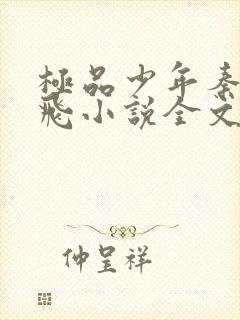 极品少年秦姨小飞小说全文阅读