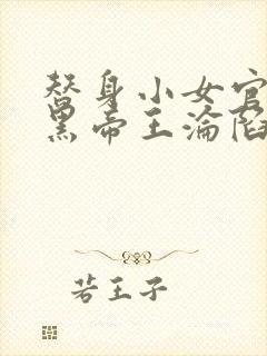 替身小女官,腹黑帝王沦陷了江清慈阅读全