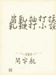 扇乳抽打揉捏虐乳鞭打小说