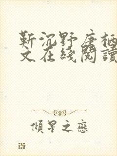 靳沉野唐栖雾全文在线阅读