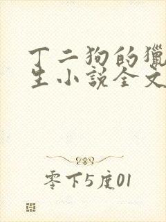 丁二狗的猎艳人生小说全文