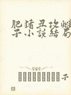 肥猪丑攻雌堕生子小说结局暂停时间封面