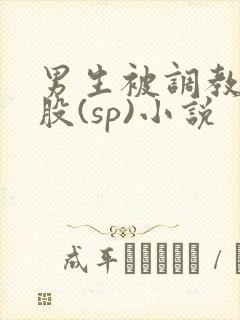 男生被调教打屁股(sp)小说封面