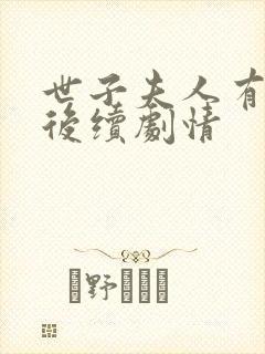 世子夫人有喜了后续剧情封面