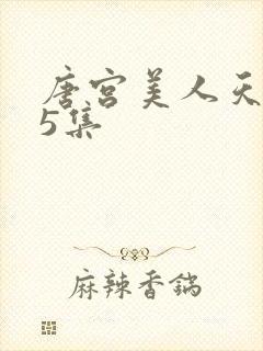 唐宫美人天下第5集