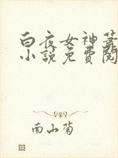 白夜女神萧婷的小说免费阅读全文封面