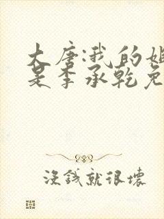 大唐:我的姐夫是李承乾免费txt下载