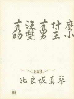 有没有什么好看的双男主小说推荐