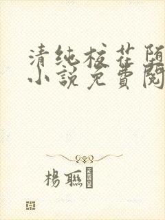 清纯校花堕落记小说免费阅读allimine封面