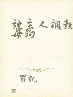 被主人调教成骚母狗封面