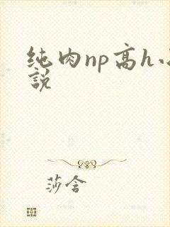 纯肉np高h小说