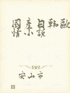 国产日韩欧美激情小说