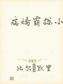 病娇霸总小说封面