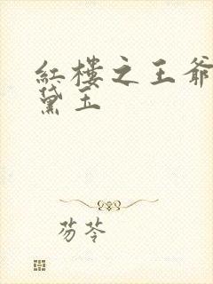 红楼之王爷狂宠黛玉封面