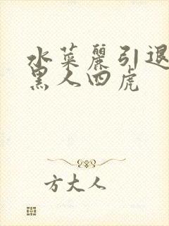 水菜丽引退作品黑人四虎