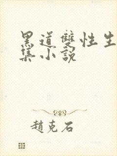 黑道双性生子合集小说封面