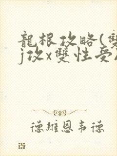 龙根攻略(双jj攻x双性受)