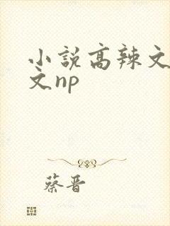 小说高辣文高h文np