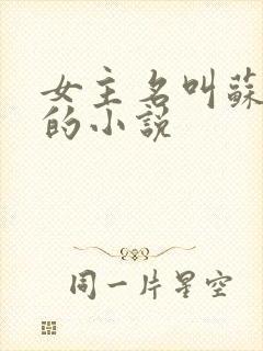 女主名叫苏青鸾的小说