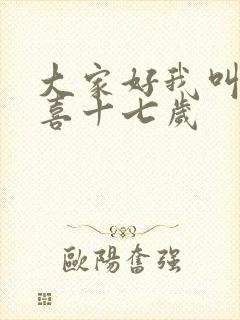 大家好我叫林小喜十七岁封面