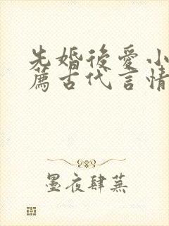 先婚后爱小说推荐古代言情封面