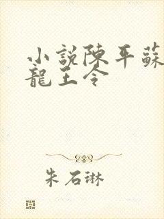 小说陈平苏雨琪龙王令