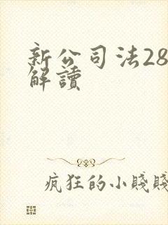 新公司法28条解读