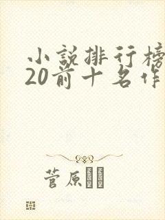 小说排行榜2020前十名作者封面
