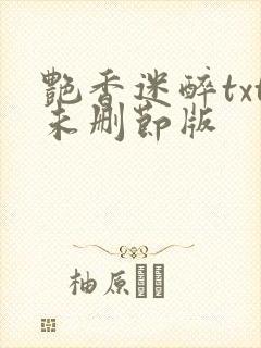 艳香迷醉txt未删节版