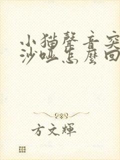 小猫声音突然变沙哑怎么回事封面