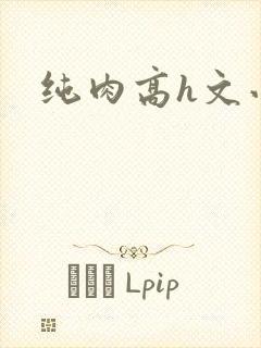 纯肉高h文小说